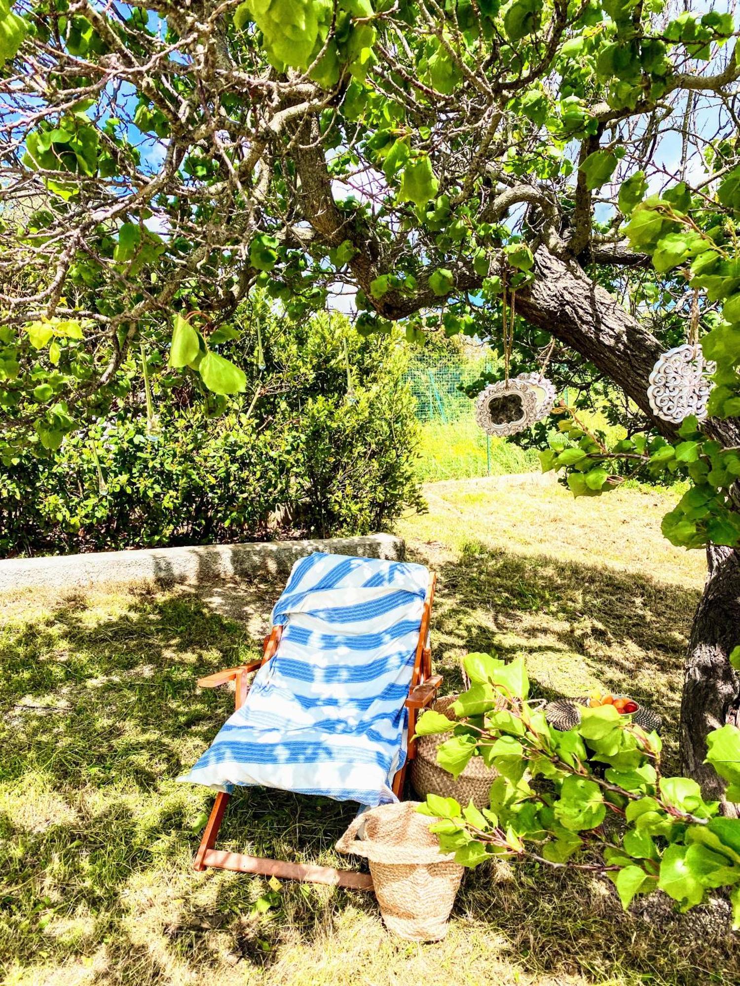 Trulli And Pool - I Cactus Villa Martina Franca Exterior photo