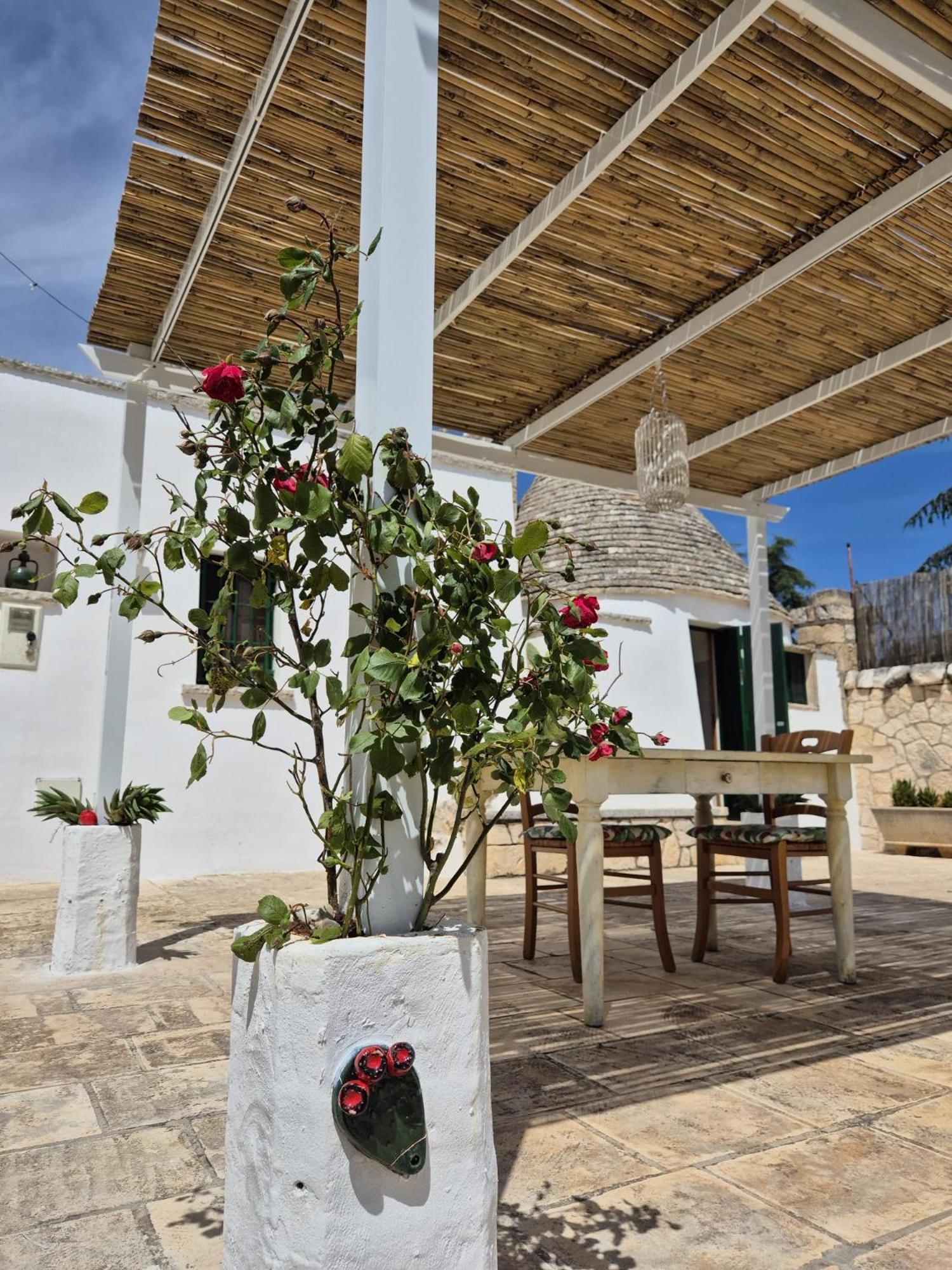 Trulli And Pool - I Cactus Villa Martina Franca Exterior photo